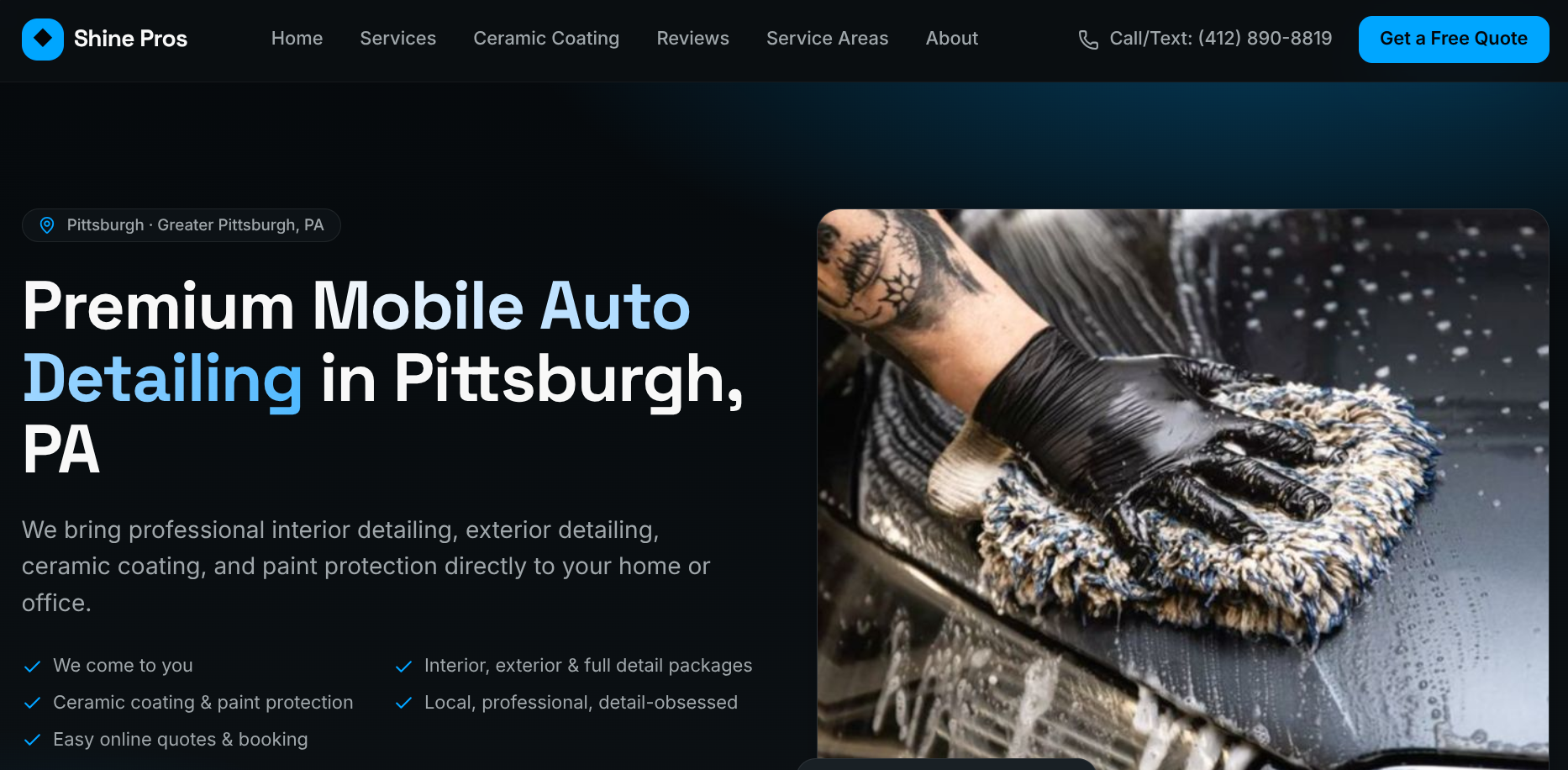 Desktop website screenshot of the Shine Pros project